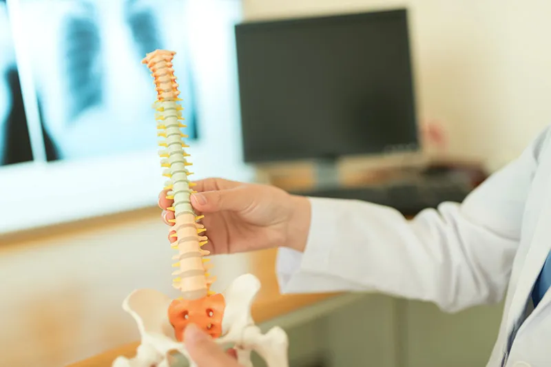 椎間板ヘルニアの根本ケアをご提供